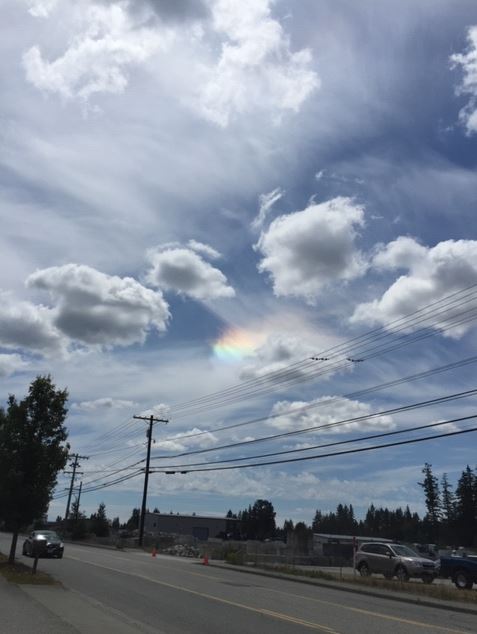 rainbowornot_w.jpg