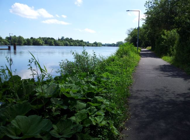 Pushkala_NiddaRiverCyclingTrackR4_w1.JPG